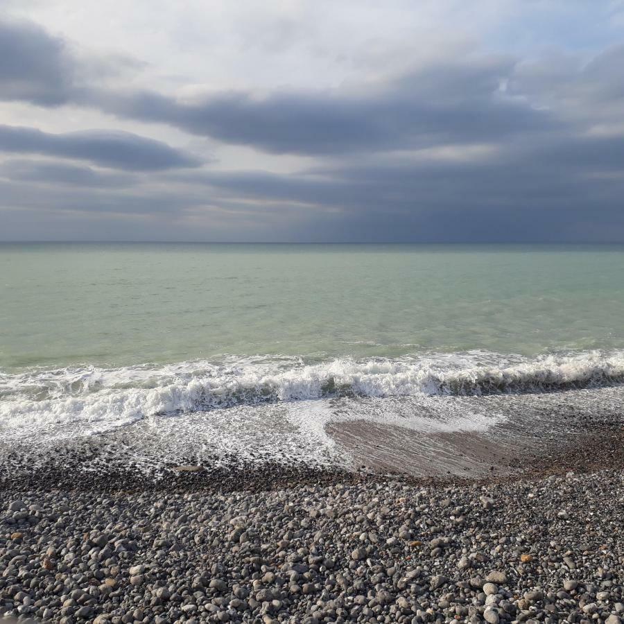 Le Clapotis De L'O, Calme, Balcon Sur La Mer, A 2 H De Paris 奥尔特 外观 照片